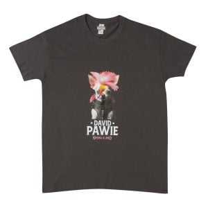 “DAVID PAWIE” γκρι Unisex T-Shirt