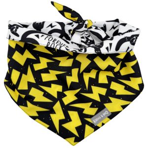 Yellow Thunder