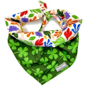 Tropical Clover
