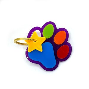Keychain “Paw with star”