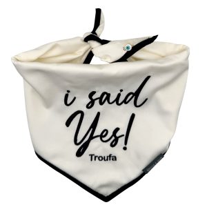 I Said yes!