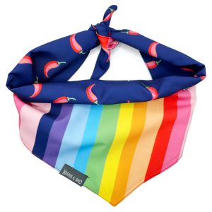 Chili Rainbow