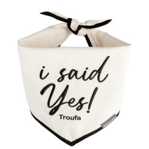 I Said yes!